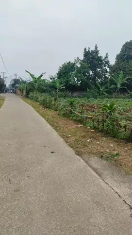Tanah karadena shm