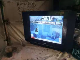 jual tv 21in slim Polytron nomines harga 350 nego siap antar