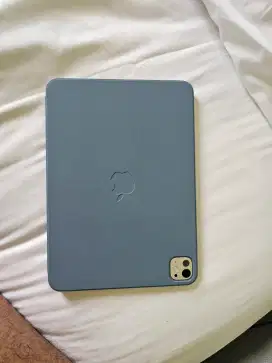 Ipad pro m4 11 inch