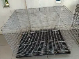 Kandang kotak ternak