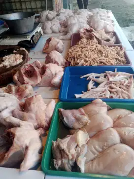 Ayam karkas fresh