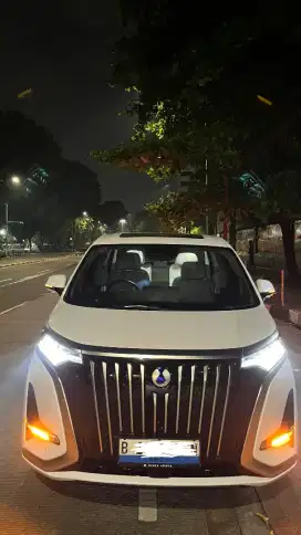 Rental Denza D9 Jabodetabek plus driver dan listrik