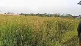 INVESTASI CERDAS! TANAH LUAS DI LOKASI POTENSIAL