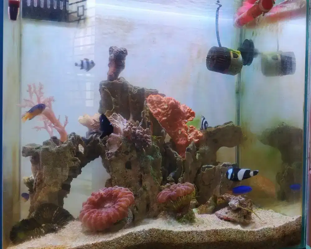 Jual microtank full set