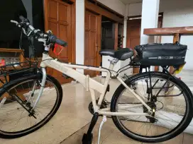 Dahon Espresso Pemakian Pribadi Langka