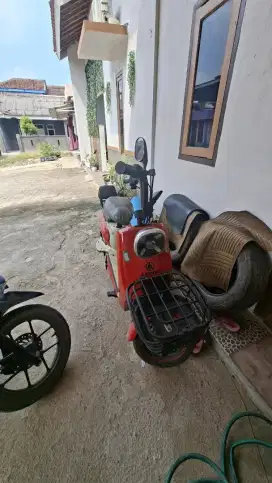 Sepeda listrik besar exotic