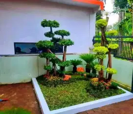 Spesialis taman dan kolam bergaransi