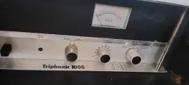 Subwofer triphonic 1000 3G 10
