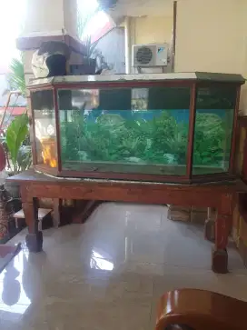 Aquarium besar  + meja dudukan ( kayu jati )