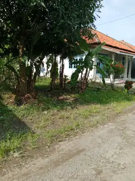 Tanah Murah 273 Bojong Wetan