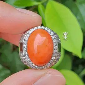 Batu Natural HQ Pure Orange Coral Marjan NTE 9.94 Ct SkyLab Certified
