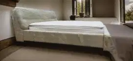 Bedframe kulit mewah brand Cellini set springbed King Koil uk 200