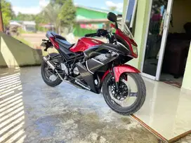 Kawasaki Ninja RR New 2013