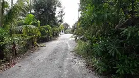 Tanah murah 1273m2,jl Hangtuah,masuk jl Sulawesi,kota Pekanbaru