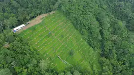 TANAH KAVLING PERKEBUNAN DUREN DI TABANAN