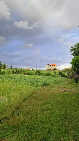 Tanah sewa strategis di Cemagi Bali