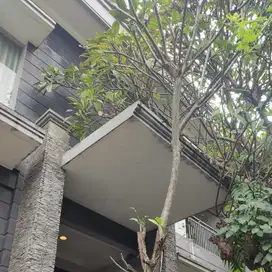 dijual rumah di PHG gading serpong cluster Shappire