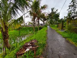 Di Jual Tanah Suasana Pedesaan Tegalalang