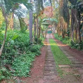 DIJUAL RUMAH SERASA VILLA JARANG ADA JAGAKARSA JAK-SEL