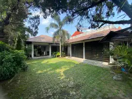 Dijual murah rumah klasik tanah luas di jl Kaliurang km 10