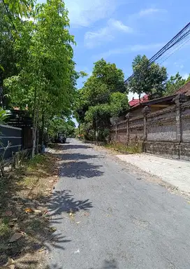 jual tanah bonus 2 rumah di badak agung renon