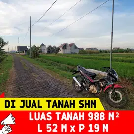 DIJUAL TANAH STRATEGIS NOL JALAN RAYA DESA BRINGKANG MENGANTI