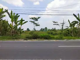 Tanah Pekarangan Pandowoharjo Utara Pertigaan Ringin