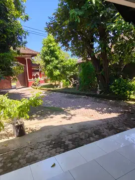 FOR RENT HUNIAN DENGAN HALAMAN LUAS  DI PUSAT KOTA TEUKU UMAR