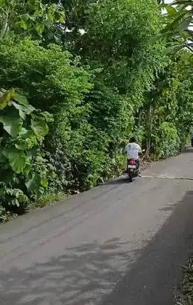 Tanah 20 Are dikawasan Villa, Ungasan