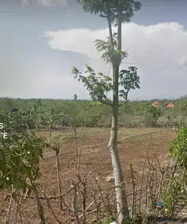 Tanah Sewa 6 Are Ocean View, Pecatu