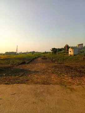 Tanah Kavling Siap Bangun 7x12 m Area Pacet Mojokerto