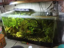 Aquascape full set
