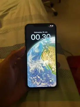 iphone xs max 256gb