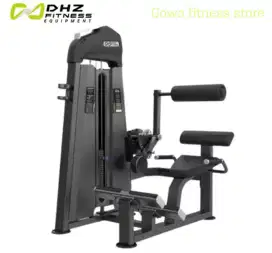 Fitness Gym Machine Back Extension DHZ Evost Series U3031C