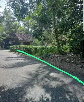 JUAL TANAH DI NGESTIHARJO WATES KULONPROGO MURAH