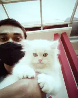 Grooming panggilan