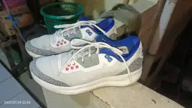 Air Jordan original