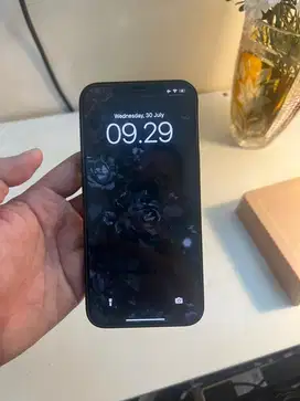 Iphone 12 Pro Max 256gb Ibox