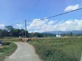 Dijual lahan kosong dan rumah murah lg BU