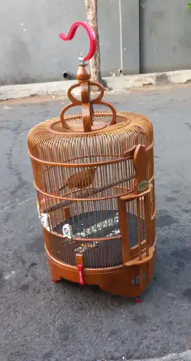 Burung WAMBI mh
