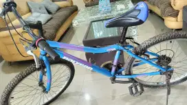 Polygon Cyclon 100 ukuran 24