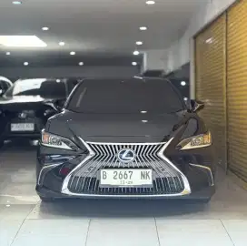 Lexus ES 300 Hybrid Ultra Luxury