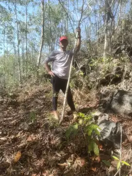 Tanah ladang bukit Pagongan pinggir JJLS girijati GK