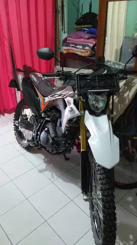 CRF 150 L 2024 WHITE