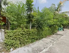 Tanah Ciamik Untuk Hunian / Dibangun Kost Dekat Kampus UIN Pucangan Ka