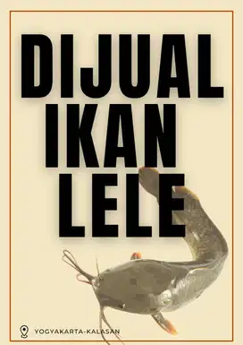 LELE SIAP PANEN 25RB/KG (NEGO) JOGJA