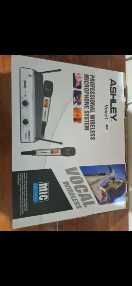 Microfon ashley mulus