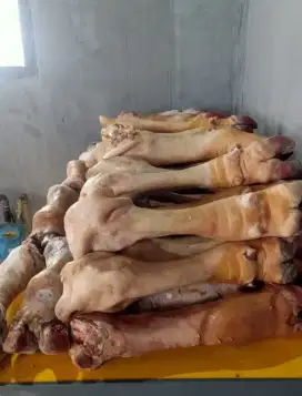 Kaki sapi ,lidah dan buntut sapi