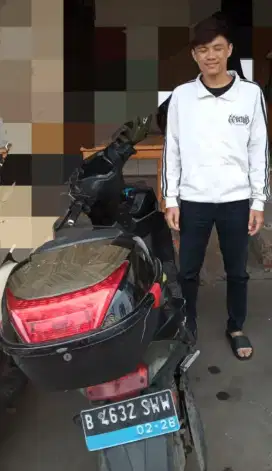Jual molis volta