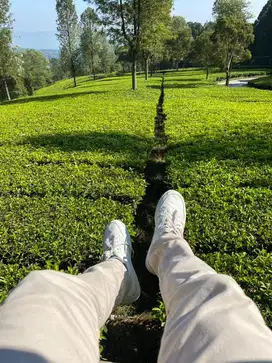 DI BUTUHKAN SEGERA KONTEN CREATOR SEPATU SNEAKERS
